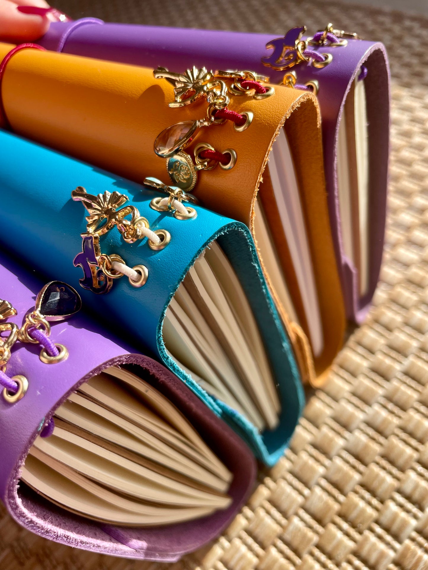 Le Petit Cuir - Clecy